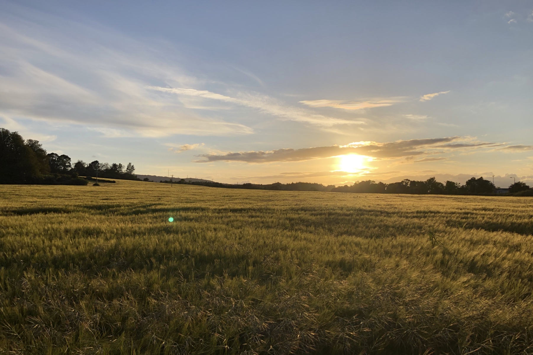 rathmichael.ie
